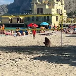 Il Mio Ficodindia